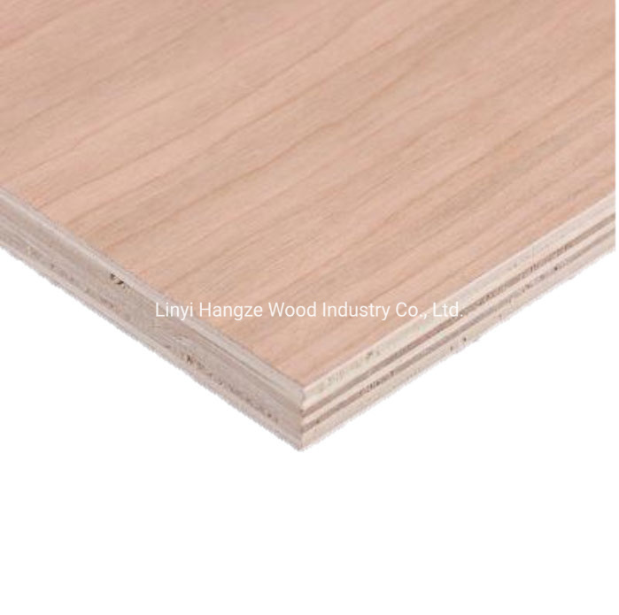 Furniture Grade Red Oak Walnut Teak Cherry Veneer Fancy Plywood