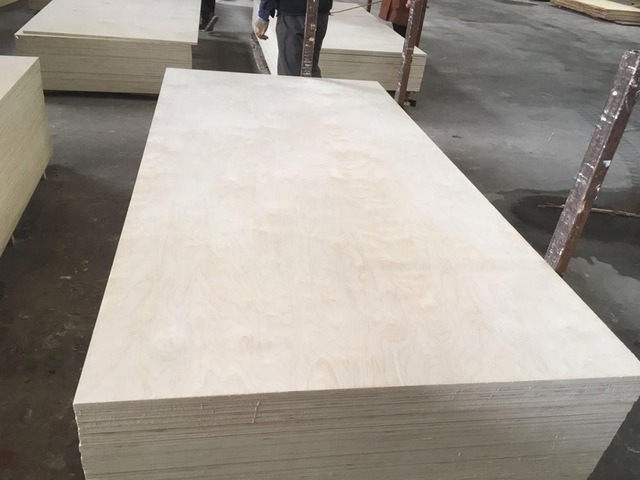 Baltic Russian Full Birch Plywood with Cheap Prices