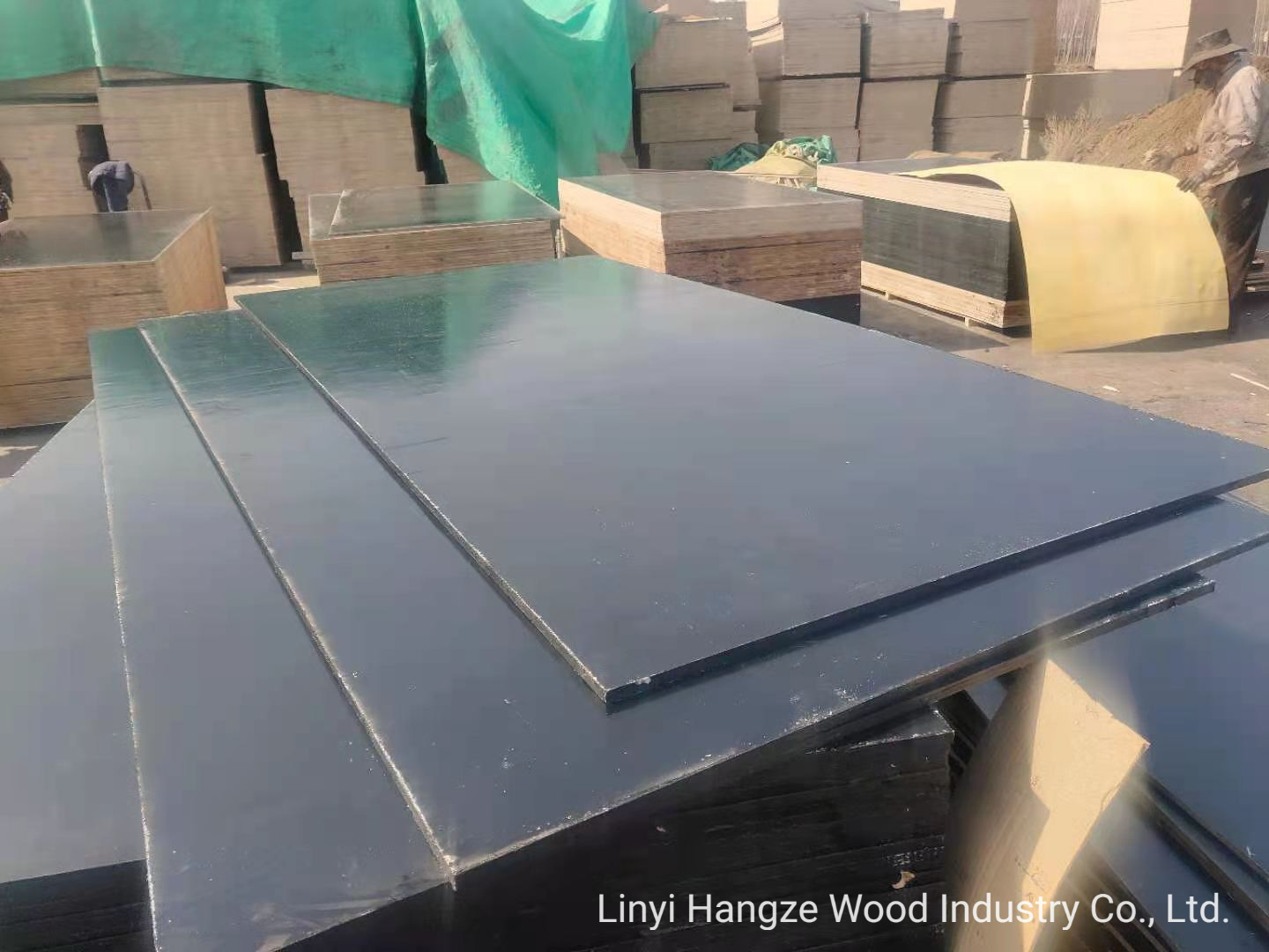 Finger Joint Core Film Faced Plywood for Construction