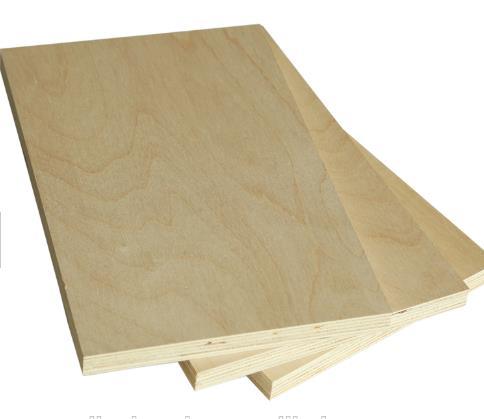 6mm 9mm 12mm 15mm 18mm Bb Grade Baltic Birch Plywood for Furniture