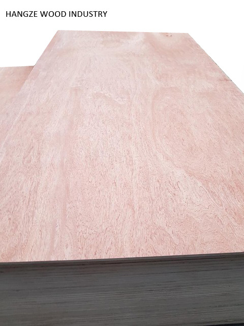 Birch Okoume Bintangor Teak Pine Poplar Hardwood Commercial Plywood for Furniture
