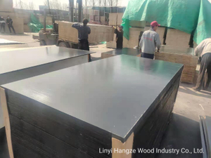 Directly Factory 11 Ply 18mm Waterproof Eucaplyptus Laminated Marine Plywood for Philippines Market Plywood Film Faced Plywood