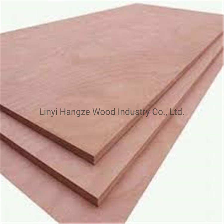 1220*2440mm Cheap Price Commercial Bintangor Plywood Supplier From China