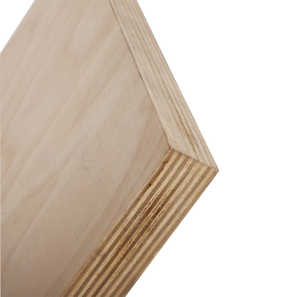 Factory Direct Supply Brich Plywood 18mm Commercial Plyboard for Furniture
