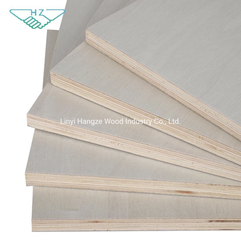 Furniture Grade Commercial White Poplar Plywood
